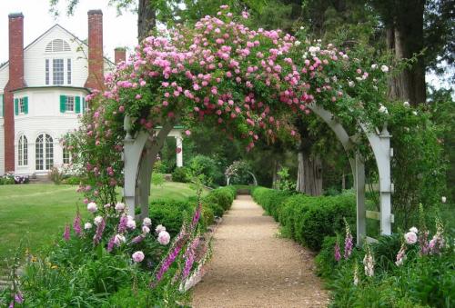 Арка для роз из металла. Арки для роз