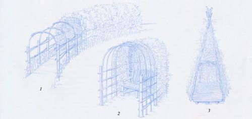 Арка из лозы своими руками. Живая арка из ивы