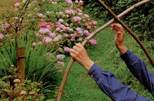 Арка из лозы своими руками. Живая арка из ивы