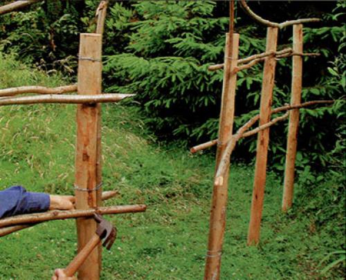 Арка из лозы своими руками. Живая арка из ивы