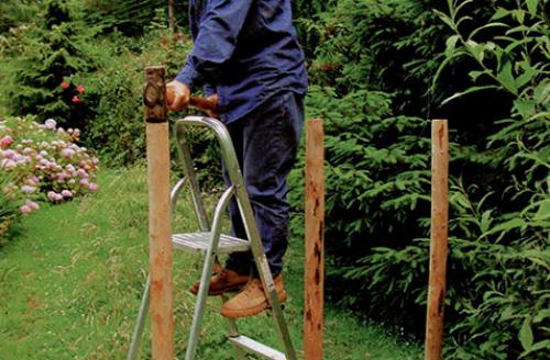 Арка из лозы своими руками. Живая арка из ивы