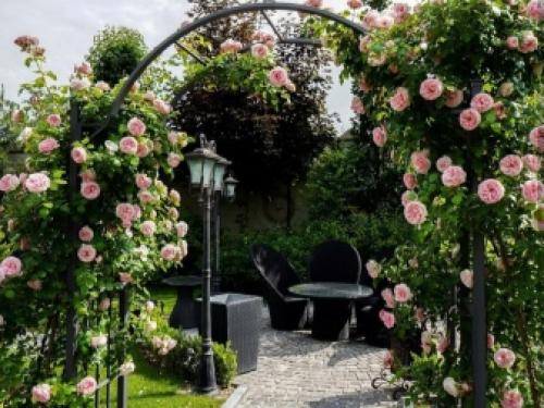 Полуарка для роз. Особенности