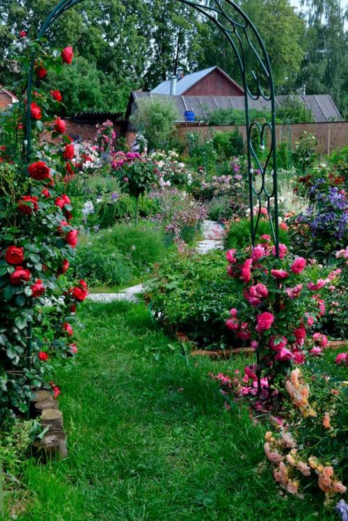 Садовые арки в ландшафтном дизайне. Красивая садовая арка: стильные и оригинальные арки и их применение в ландшафтном дизайне (95 фото + видео)