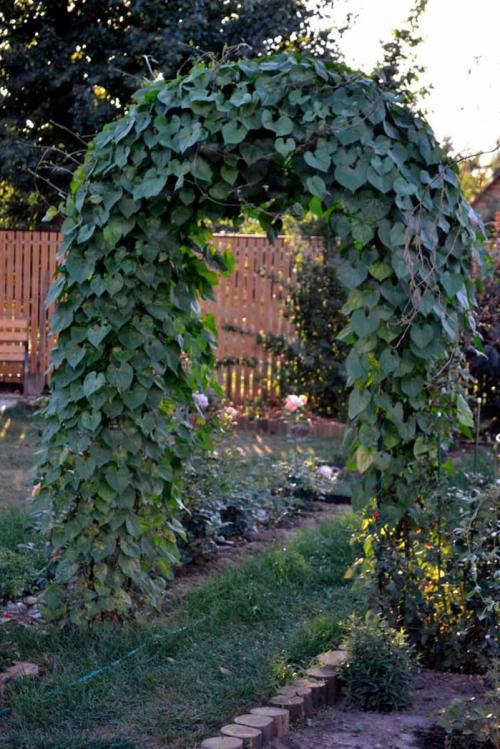 Арки в саду дизайн. Красивая садовая арка: стильные и оригинальные арки и их применение в ландшафтном дизайне (95 фото + видео)