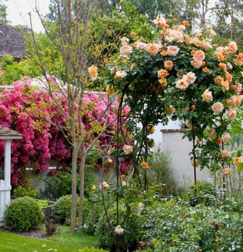 Арка для роз из арматуры. Установка арки 17 Арка для роз из арматуры. Установка арки 17