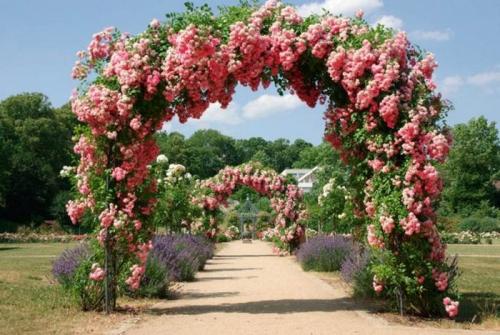 Арка для роз из пластиковых труб своими руками. Опоры для плетистой розы своими руками: 20 примеров с фото