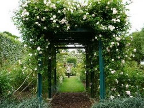 Из чего сделать арку для роз. Опоры для плетистой розы своими руками: 20 примеров с фото