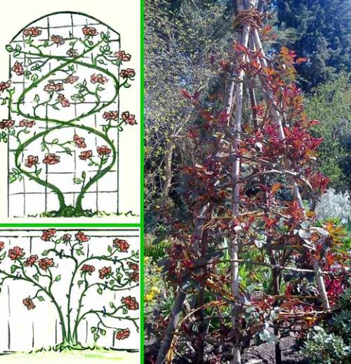 Арка для роз из арматуры. Установка арки 19 Арка для роз из арматуры. Установка арки 19