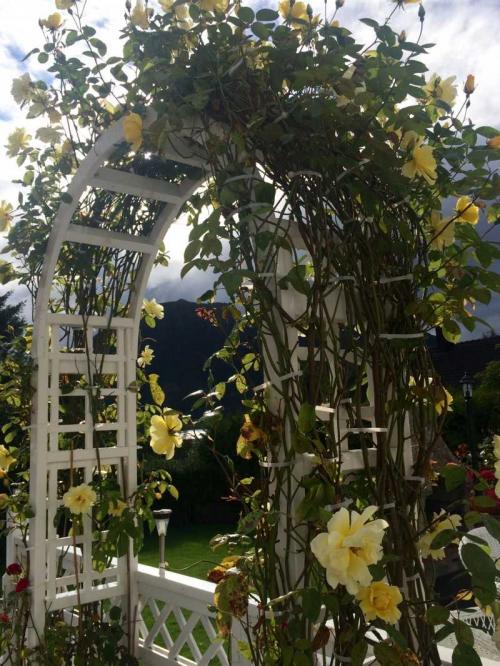 Арки в саду дизайн. Садовая арка — 140 фото и видео описание, как украсить участок садовыми арками