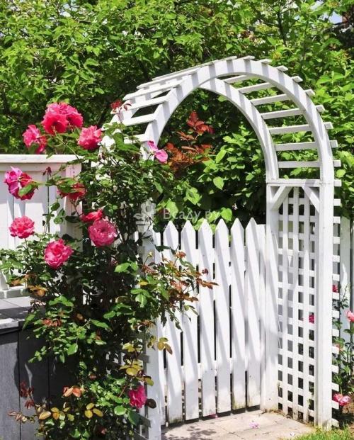 Арки в саду дизайн. Садовая арка — 140 фото и видео описание, как украсить участок садовыми арками