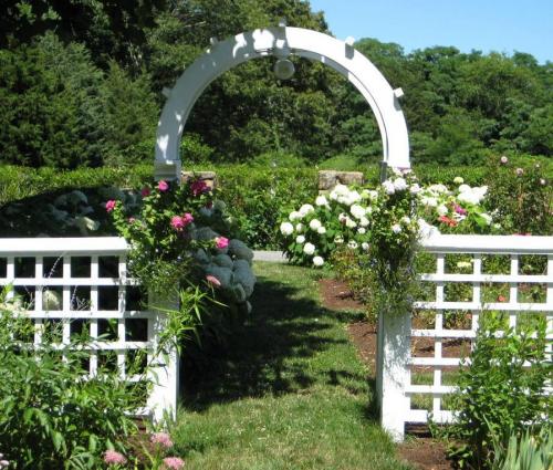 Садовые арки для цветов. Садовая арка – функции в ландшафтном дизайне