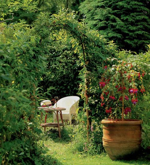 Арка из лозы своими руками. Живая арка из ивы