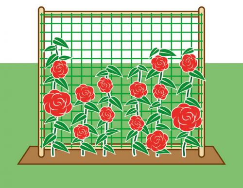 Арка для роз из пластиковых труб своими руками. Опоры для плетистой розы своими руками: 20 примеров с фото