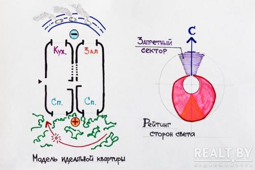 Какие цветы подходят для окон разных направлений. Выбор комнатных растений для окон разных сторон света. 04 Какие цветы подходят для окон разных направлений. Выбор комнатных растений для окон разных сторон света. 04