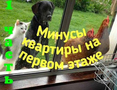 Какие минусы есть у жителей первого этажа. Минусы квартиры на первом этаже
