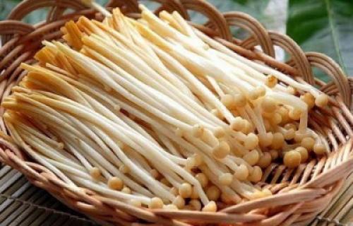 Какие виды грибов можно использовать в качестве заменителя мяса. Грибы, как заменитель мяса: какие виды больше подходят