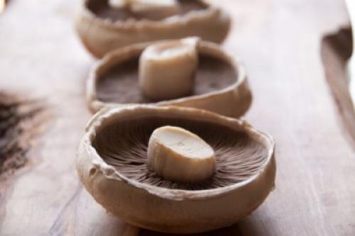 Какие виды грибов можно использовать в качестве заменителя мяса. Грибы, как заменитель мяса: какие виды больше подходят