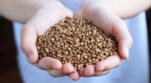 Может ли гречка заменить мясо. Чем полезна гречка и почему она может заменить мясо