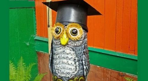 Как вырезать бутылки для создания филина. Украшения для совы