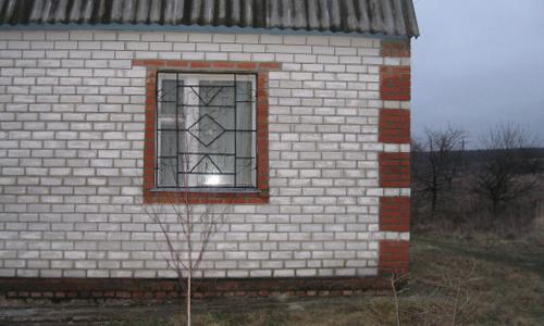 Какой кирпич лучше для строительства дома. Керамический кирпич 13 Какой кирпич лучше для строительства дома. Керамический кирпич 13