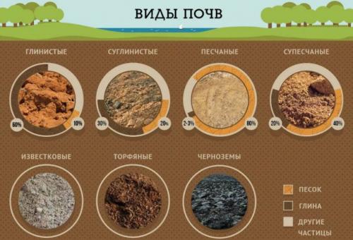 Какие меры можно принять для предотвращения проникновения холода подполья. Что влияет на микроклимат в погребе?