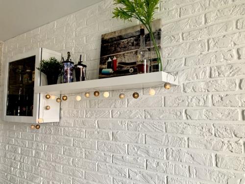 Кирпичная стена своими руками. Стена под кирпич из штукатурки своими руками