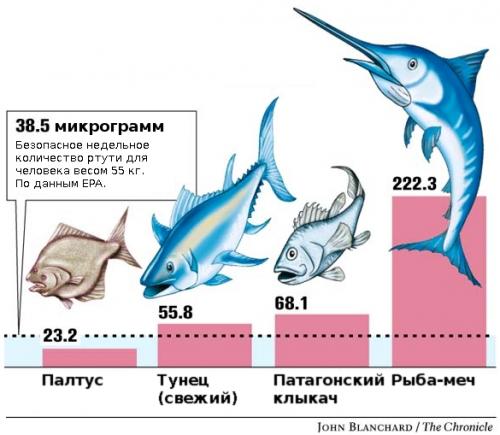 Какие последствия имеет потребление мяса для состояния океанов и морской жизни. Потепление и концентрация токсина в мясе морских рыб