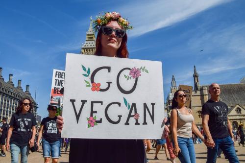 Какие последствия имеет потребление мяса для состояния воздуха и климата. Зеленая арифметика