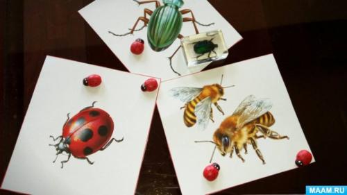 Сколько времени потребуется для создания совы из пластиковых ложек