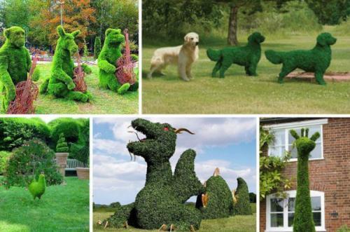 Как выбрать подходящий размер Топиарии. Особенности и преимущества топиариев из искусственной травы