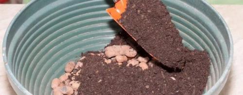 Создание пенала из пластиковой бутылки: простой способ создать домашний уголок для растений 21