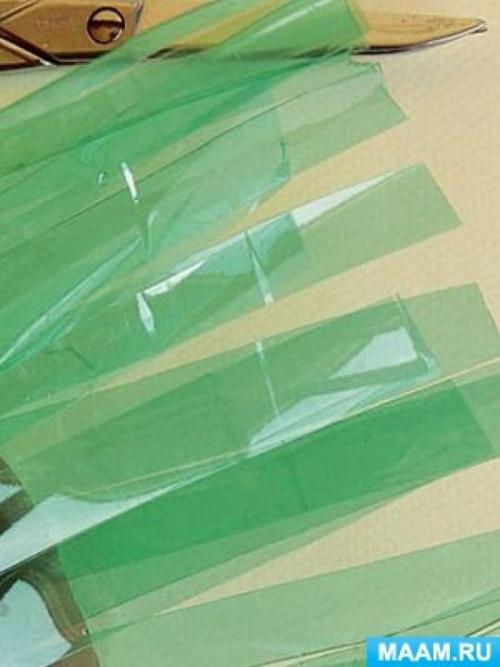 Как правильно ухаживать за растениями, выращиваемыми в пенале из пластиковой бутылки. Фотоотчет «Как сделать огород в бутылке на подоконнике?»