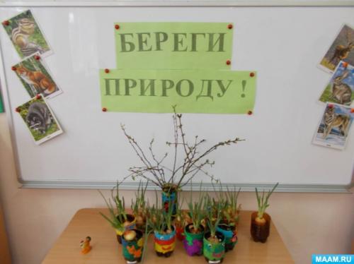 Как правильно ухаживать за растениями, выращиваемыми в пенале из пластиковой бутылки. Фотоотчет «Как сделать огород в бутылке на подоконнике?»