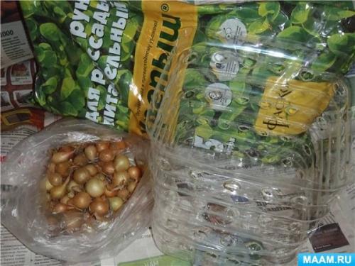 Как выбрать подходящую пластиковую бутылку для пенала