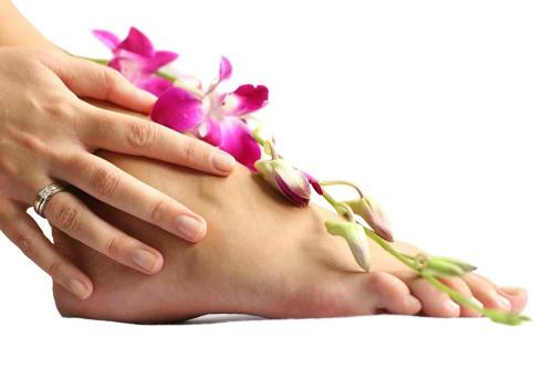 Как дубить кожу в домашних условиях. Популярные рецепты выделки кожи 04 Как дубить кожу в домашних условиях. Популярные рецепты выделки кожи 04