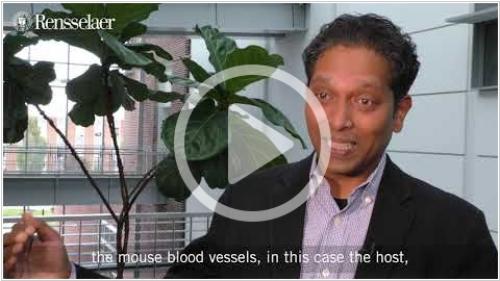 Искусственная кожа для человека. Выращивание кожи