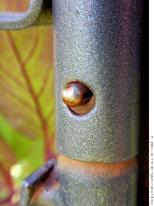 Как ухаживать за аркой на даче. Арка садовая