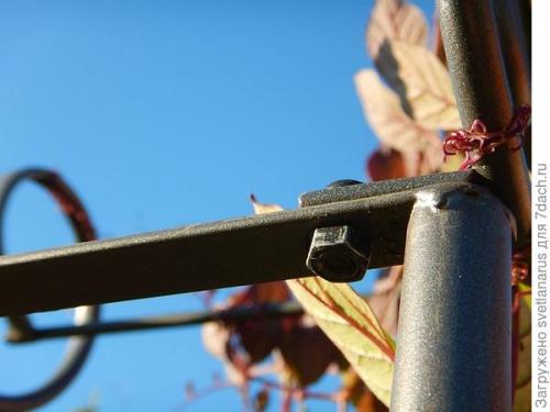 Как ухаживать за аркой на даче. Арка садовая