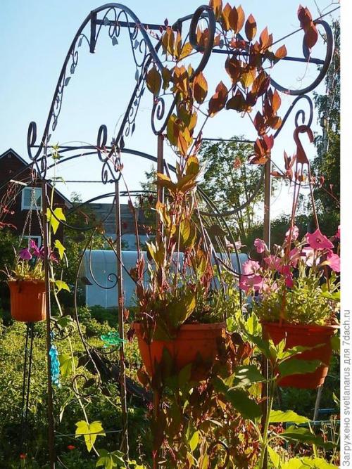 Какие материалы нужны для создания арки на даче