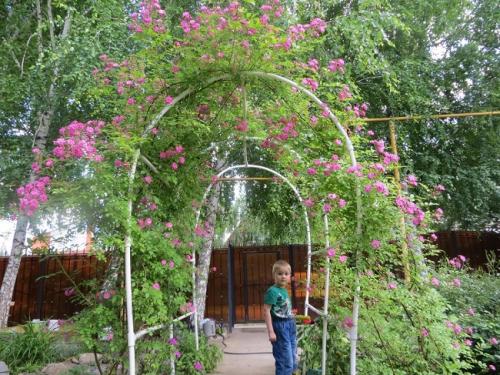 Какие материалы можно использовать для создания арки для цветов. Материал для арок