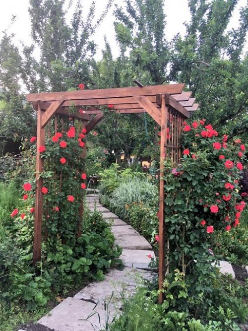 Какие материалы можно использовать для изготовления садовой арки. Материал для арок