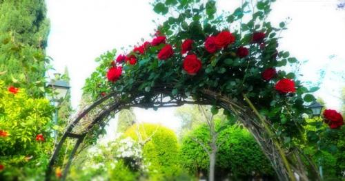 Как выбрать место для установки арки для цветов. Конструкции арок