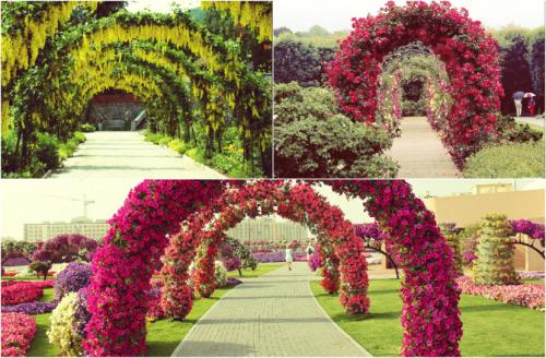 Как выбрать место для установки арки для цветов. Конструкции арок