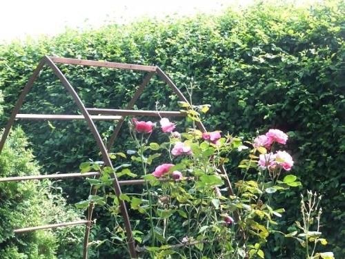 Какие факторы следует учитывать при выборе арок для загородного дома. Садовые арки - пошаговая инструкция по изготовлению и применению в ландшафтном дизайне