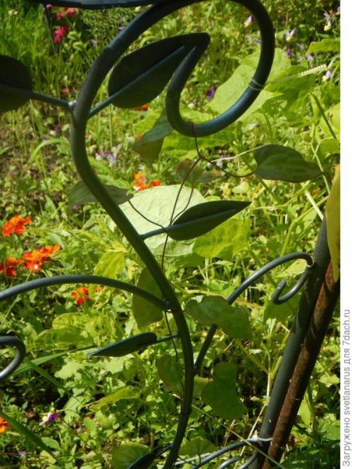 Какие материалы нужны для создания арки на даче