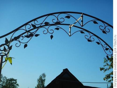 Как ухаживать за аркой на даче. Арка садовая