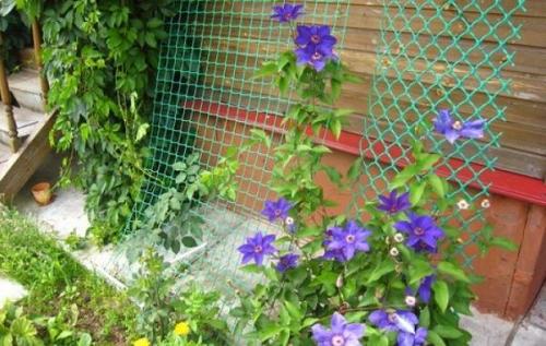 Какие материалы можно использовать для изготовления арки для цветов