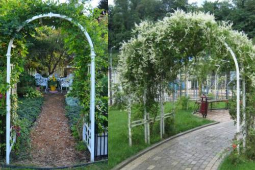 Как защитить садовую арку из ПВХ труб от повреждений и коррозии