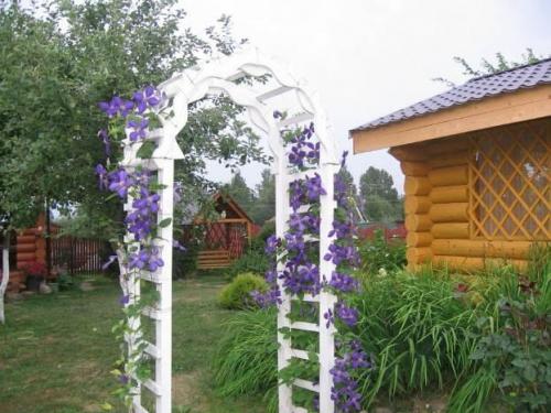 Как установить садовую арку для цветов на своей территории. Арки для дачи