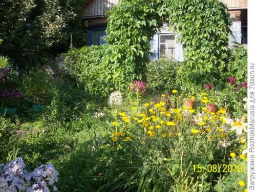 Какие материалы лучше использовать для создания садовой арки